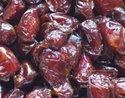 فروش خرما