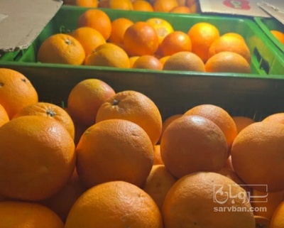 فروش پرتقال