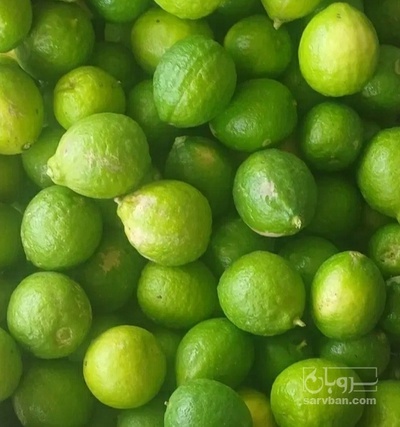 فروش لیمو ترش