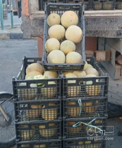 فروش ملون