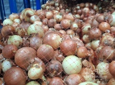 فروش پیاز زرد