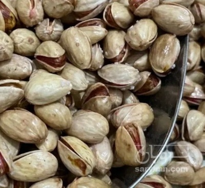 فروش پسته فندقی