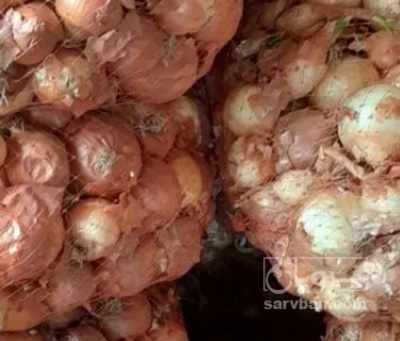 فروش پیاز