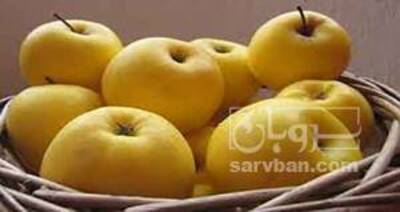 فروش سیب زرد