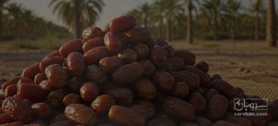 فروش خرما