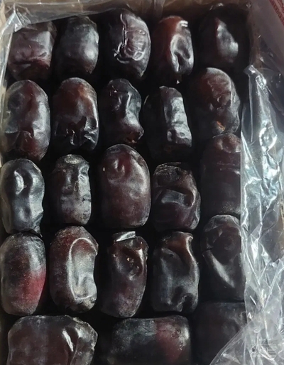 فروش خرما