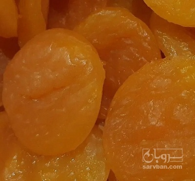 فروش زردآلو