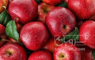 فروش سیب قرمز