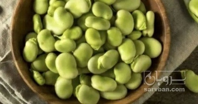 فروش باقلا تازه - باقالی - باقالا