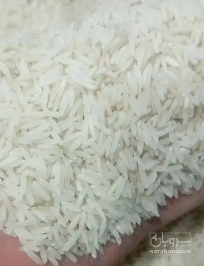 فروش برنج هاشمی