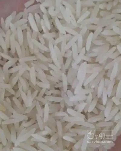 فروش برنج میانه