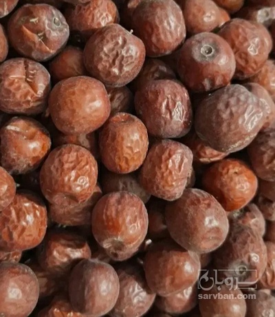 فروش عناب