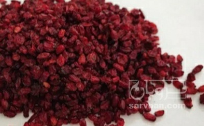 فروش زرشک اناری