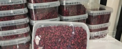فروش زرشک زیر تالاری