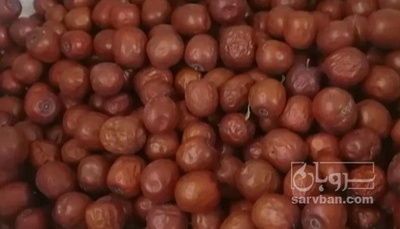 فروش عناب