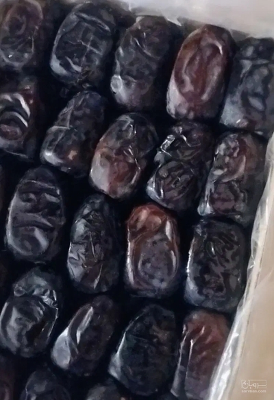 فروش خرما