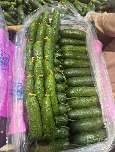 فروش خیار