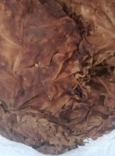 فروش تنباکو کوهی (گیاه‌ دارویی)