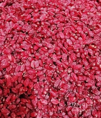 فروش زرشک