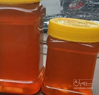فروش عسل وحشی