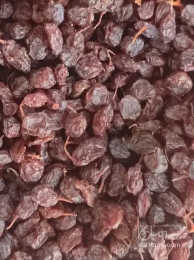 فروش کشمش
