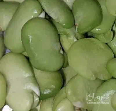 فروش باقلا تازه - باقالی - باقالا