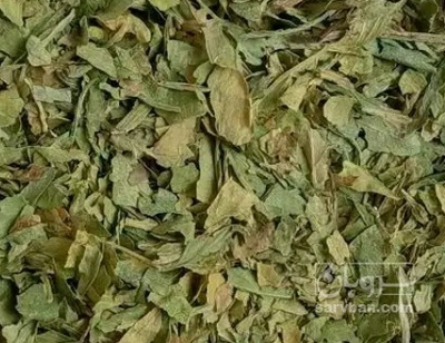 فروش برگ کرفس خشک (گیاه‌ دارویی)
