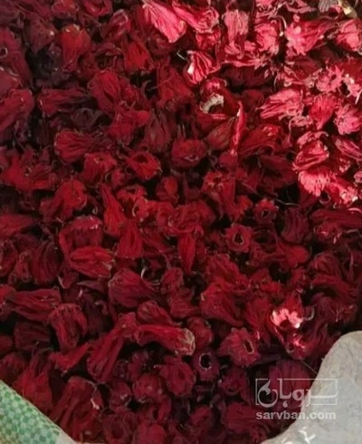 فروش چای ترش