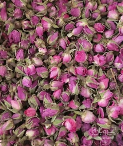فروش غنچه گل محمدی (گیاه‌ دارویی)