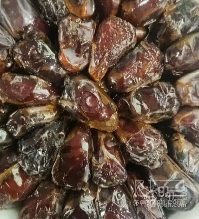فروش خرما