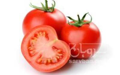 فروش گوجه فرنگی