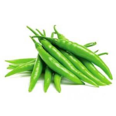 فروش فلفل شمشیری