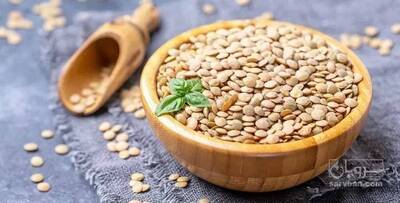 فروش عدس