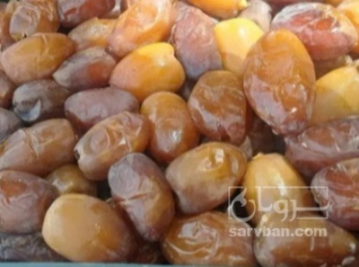 فروش خرما