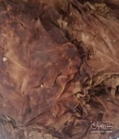 فروش تنباکو کوهی (گیاه‌ دارویی)