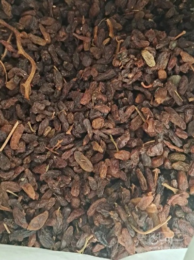 فروش کشمش