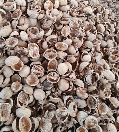 فروش پوست گردو