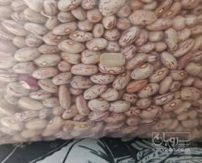 فروش لوبیا چیتی