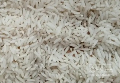 فروش برنج طارم هاشمی