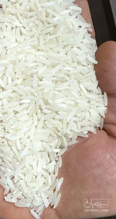 فروش برنج سرگل شمال