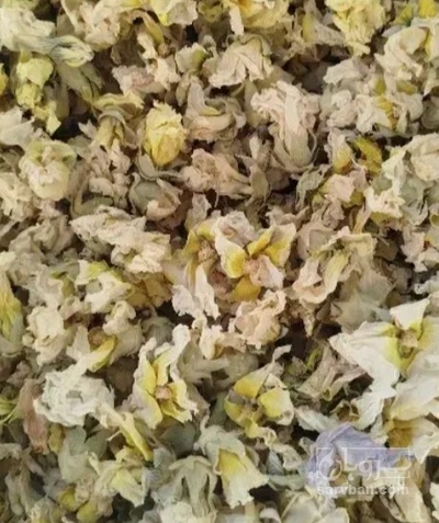 فروش گل ختمی - خطمی (گیاه‌ دارویی)