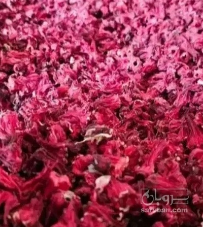 فروش چای ترش
