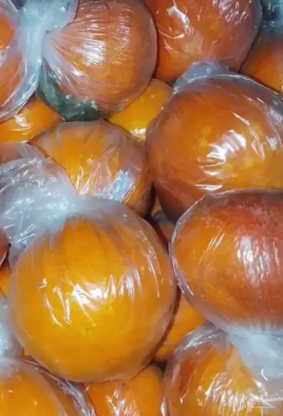 فروش پرتقال