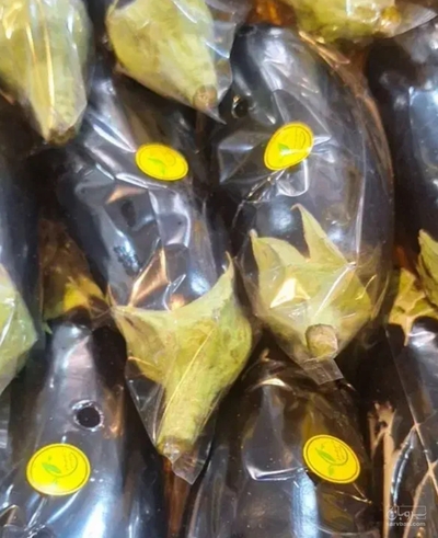 فروش بادمجان