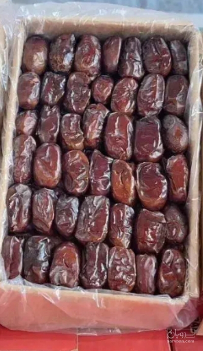 فروش خرما