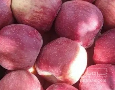 فروش سیب