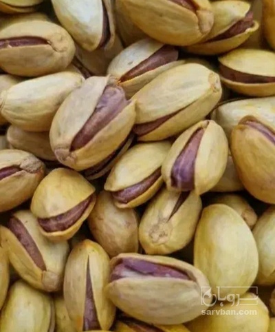 فروش پسته