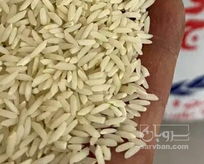 فروش برنج کامفیروزی