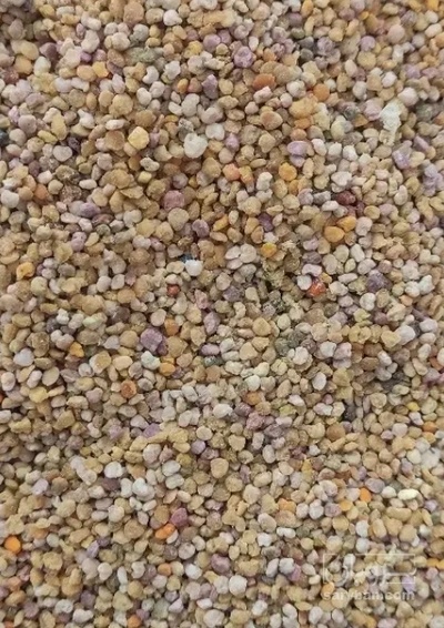فروش گرده گل