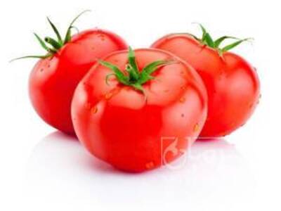 فروش گوجه فرنگی